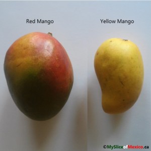mangoes