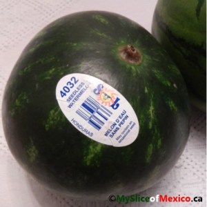 watermelon feb 20 2018