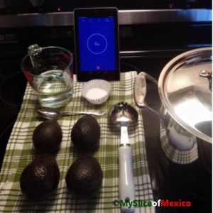 01 startting materials enzymatic browning avocado logo