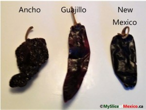 ancho guajillo newmexico logo