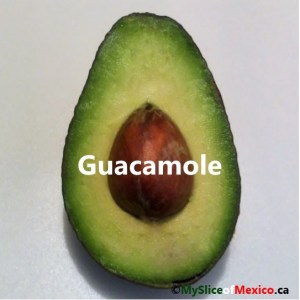 guacamole cover logo