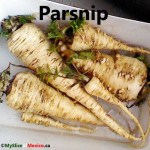 parsnip cover logo