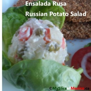 russian salad with logo