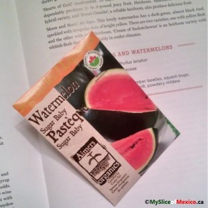 watermelon seeds logo