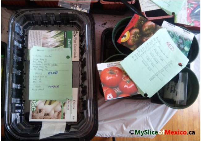 02 containers, lists and colour codes