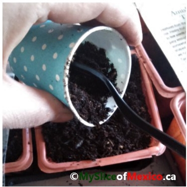 03 filling containers