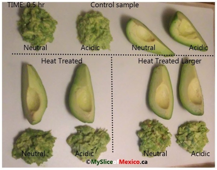 06 half an hour enzymatic browning avocado logo