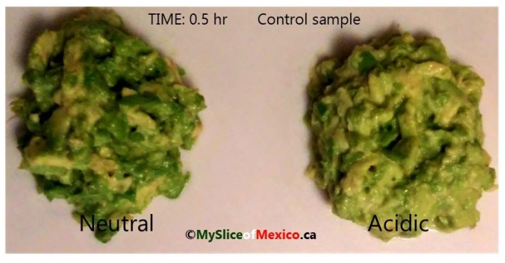 07 half an hour control mashed with and without citric acid enzymatic browning avocado logo