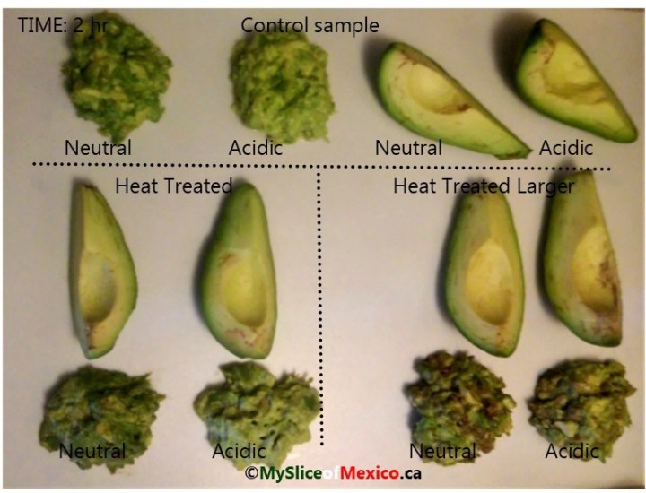 09 two hours enzymatic browning avocado logo