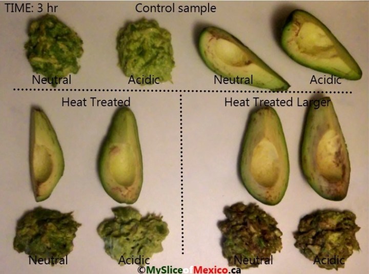 10 three hours enzymatic browning avocado logo