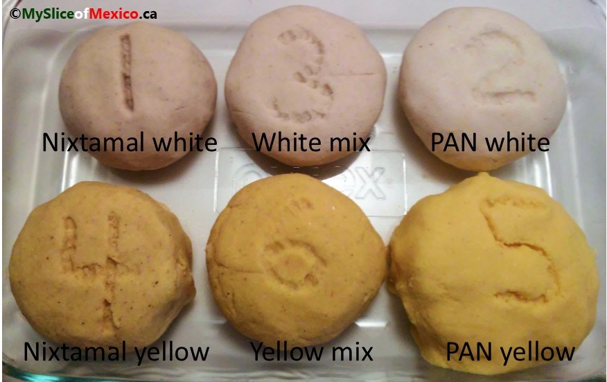 All six corn dough samples My Slice of Mexico