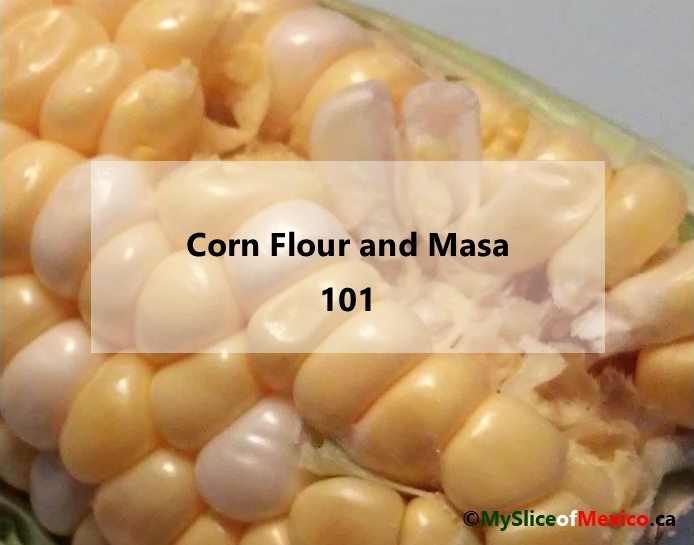 Irene's lab cover Corn Flour and Masa 101