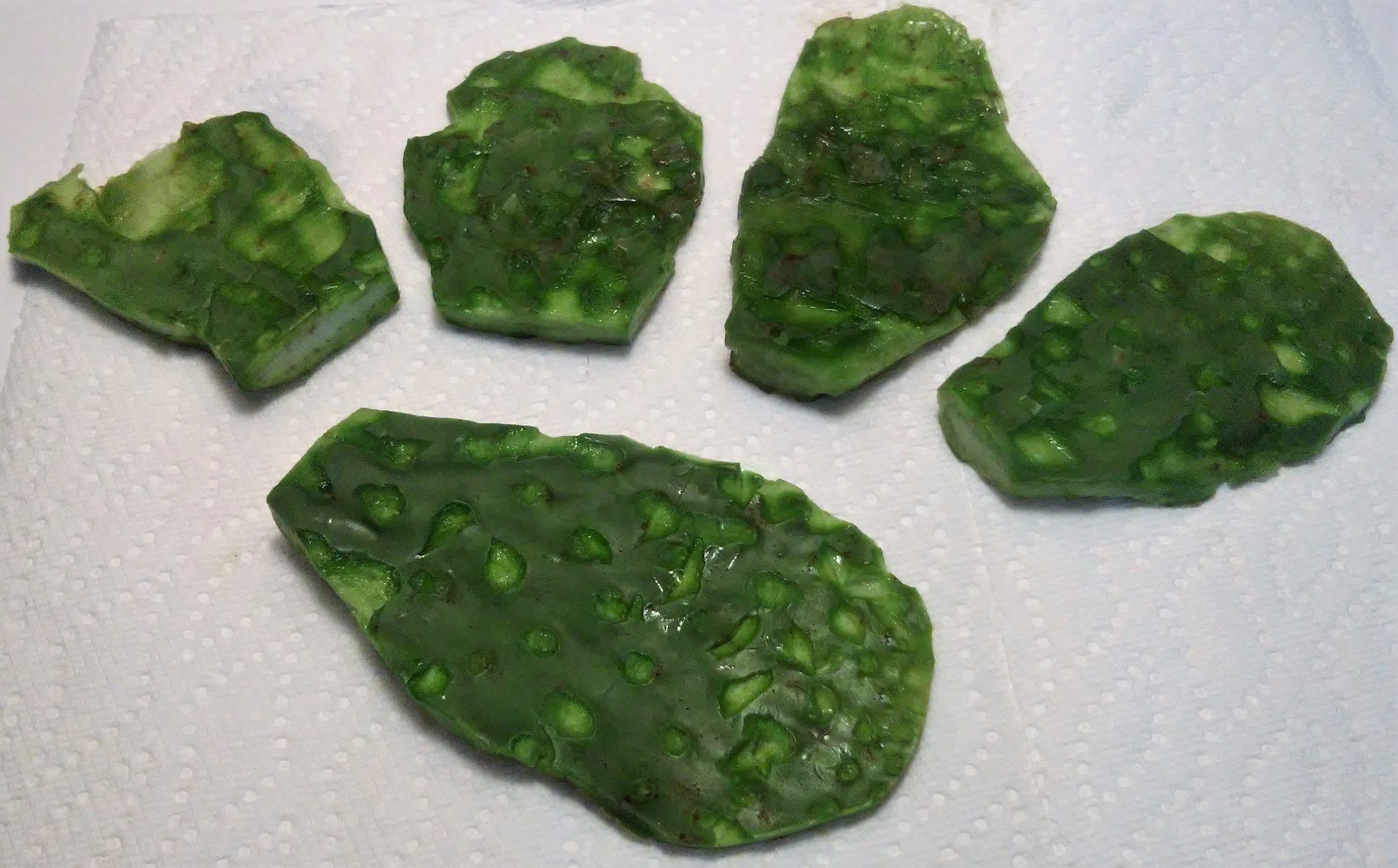 despined cactus paddles