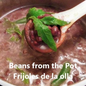 frijoles de la olla My slice of Mexico