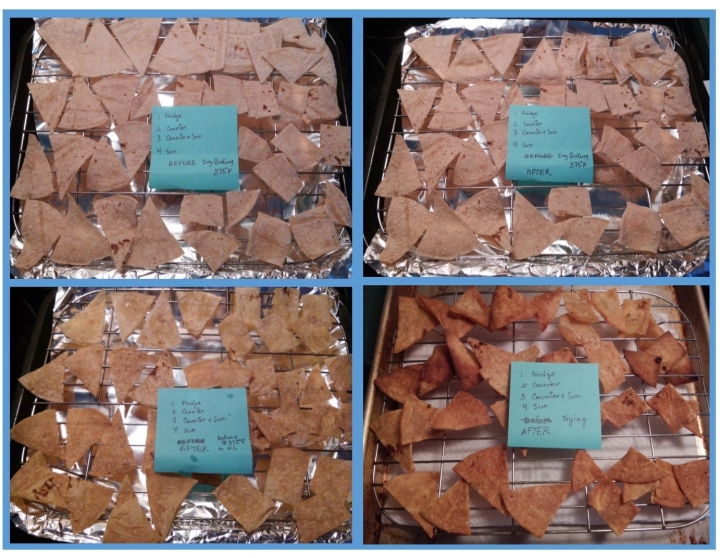 tortilla chips before and after processing