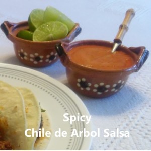 spicy chile de arbol salsa square