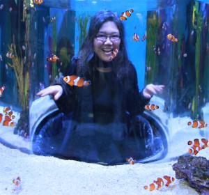 Swimming with the clown fish Ripley's Aquarium