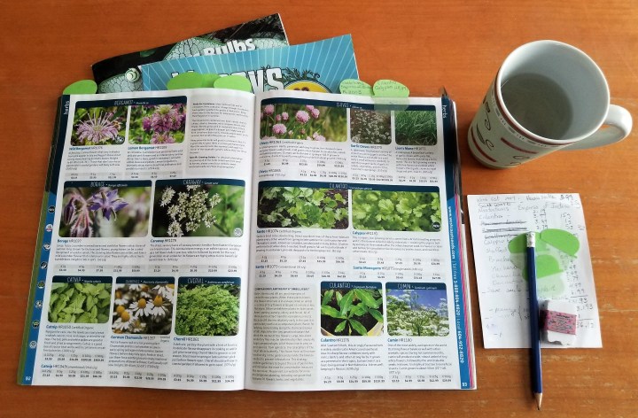 20190122_145001 (2).jpg