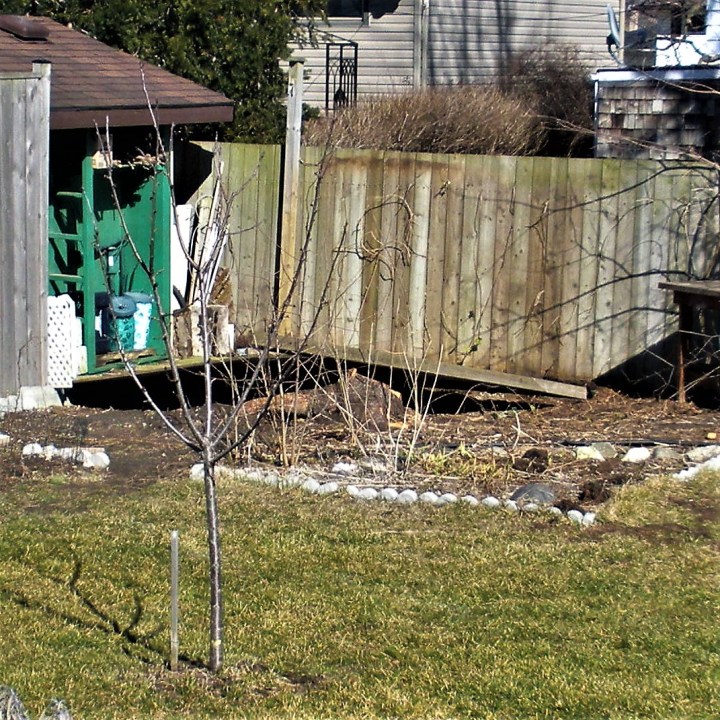 008 February 29 2016 fallen fence