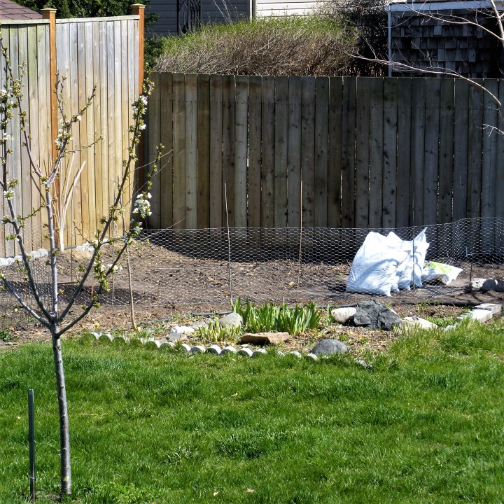 011 April 19 2016 fencing and cultivating soil