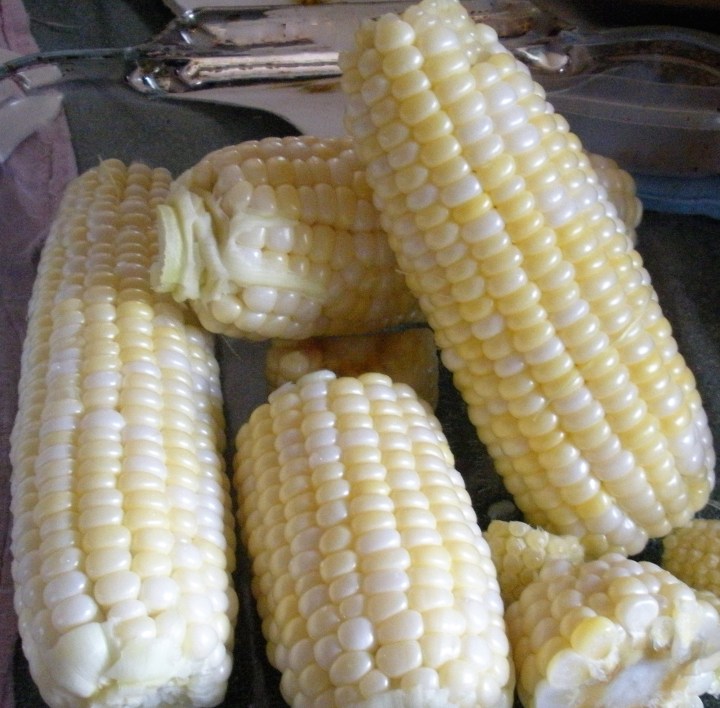 ears of corn August 2016