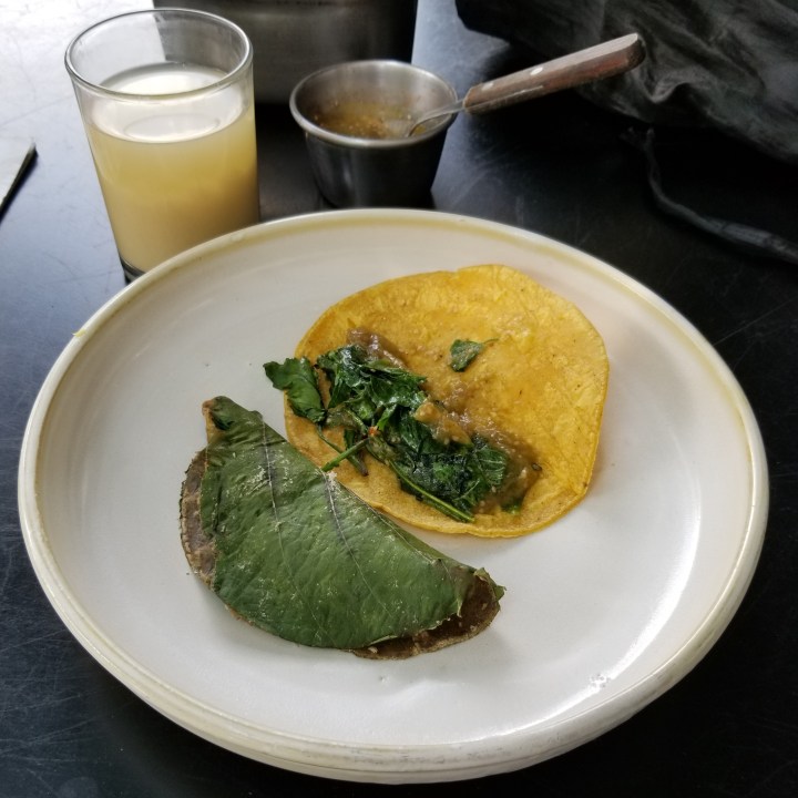 20190322_121353 (2).jpg