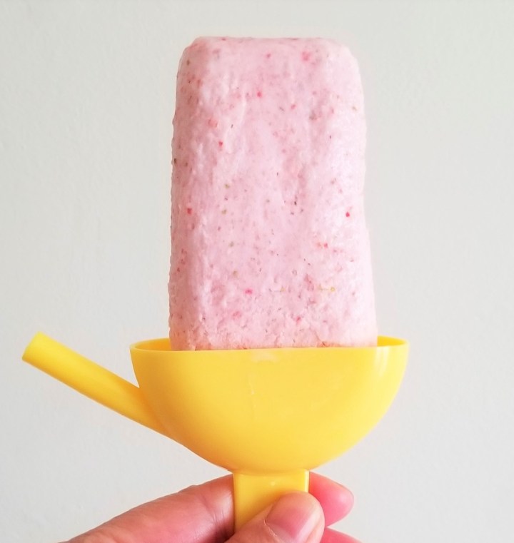 017 homemade strawberry ice cream bar