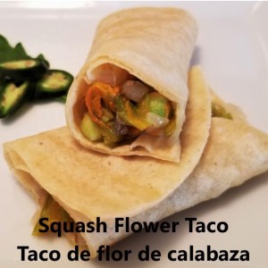 Squash flower taco
