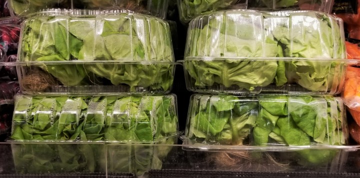 001 hydroponic lettuce