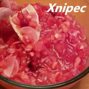 Xnipec My Slice of Mexico