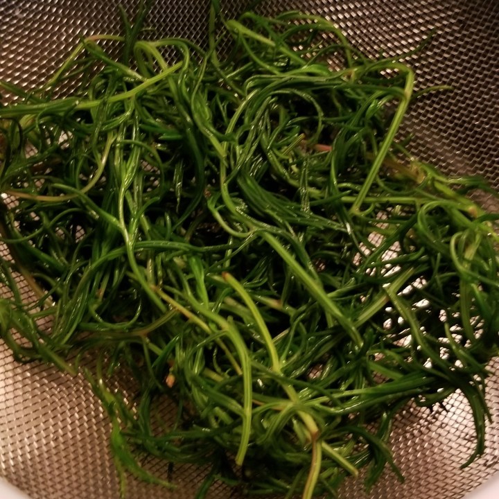 cooked salsola 2019
