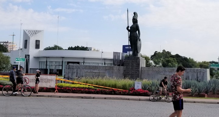 Minerva statue with poinsettias.jpg
