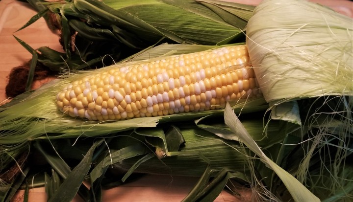 001 Freshest ear of corn