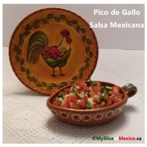 pico-de-gallo-salsa-mexicana-e1519572378903