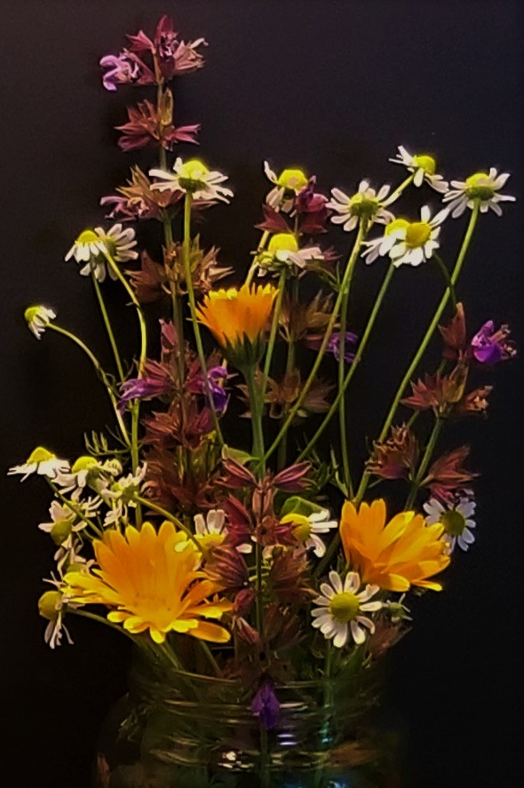 CFFC – One Single&nbsp;Flower