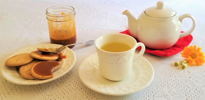 Herbal Infusions – An Ancient and Contemporary&nbsp;Tradition