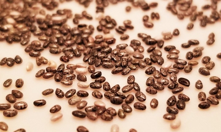 Chia – More than&nbsp;Pets