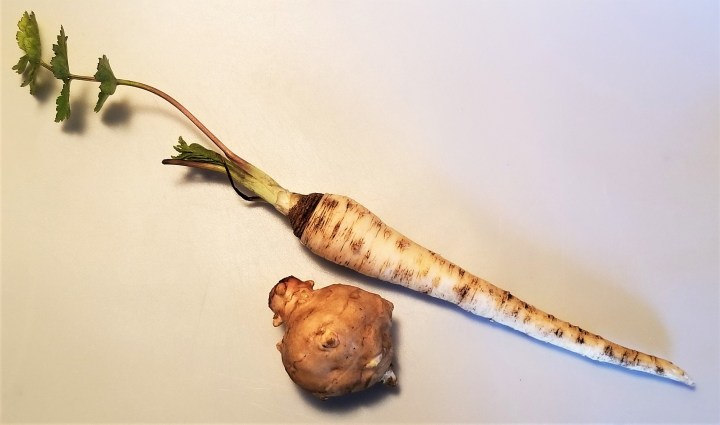 Overwintered Wonders