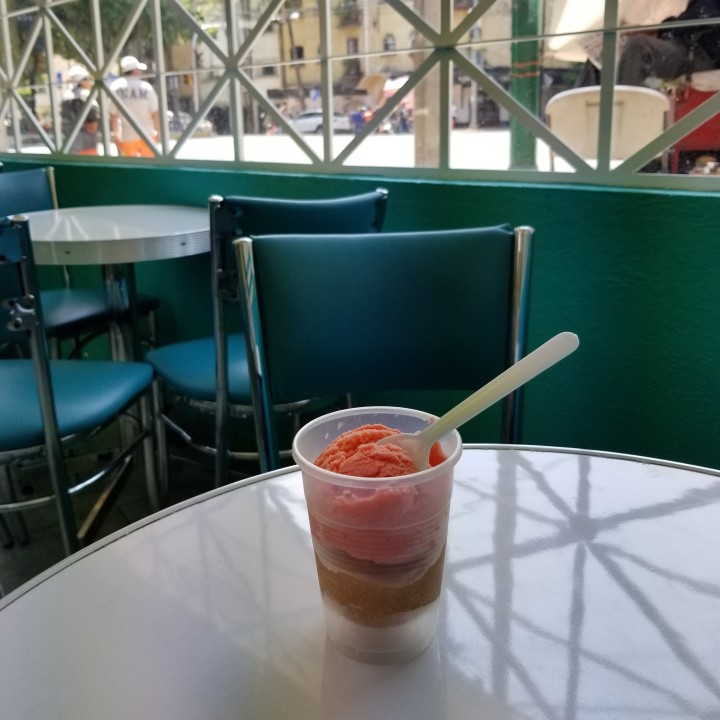 Chico Zapote – Sapodilla Fruit (and a No-Churn Recipe for Sorbet