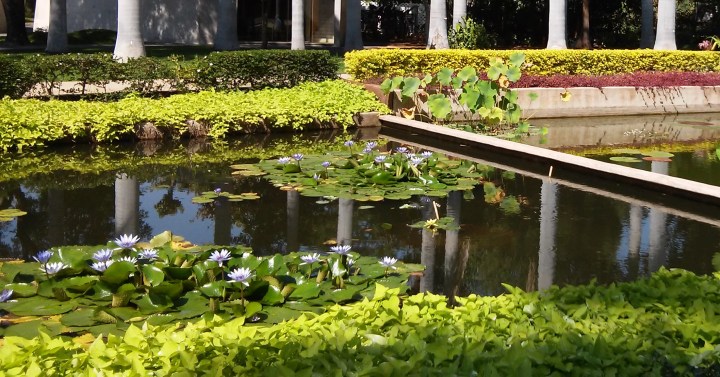 Children’s Day in Culiacan,&nbsp;Sinaloa