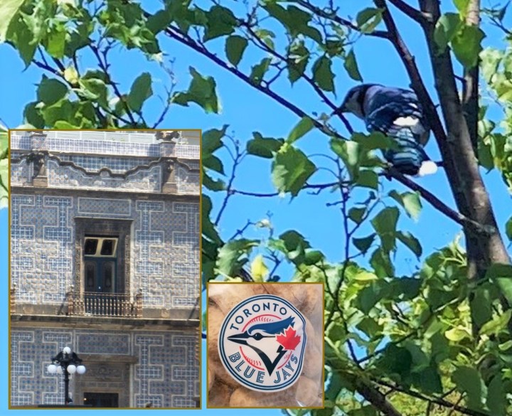 Azulejos – Of Birds, Tiles, and&nbsp;Baseball