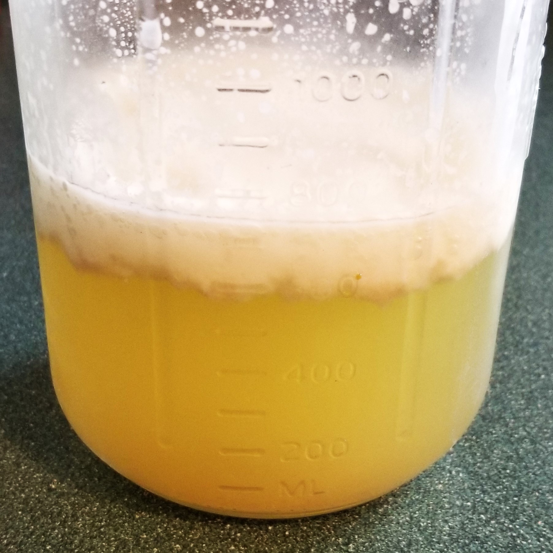 018 pork broth and separated fat